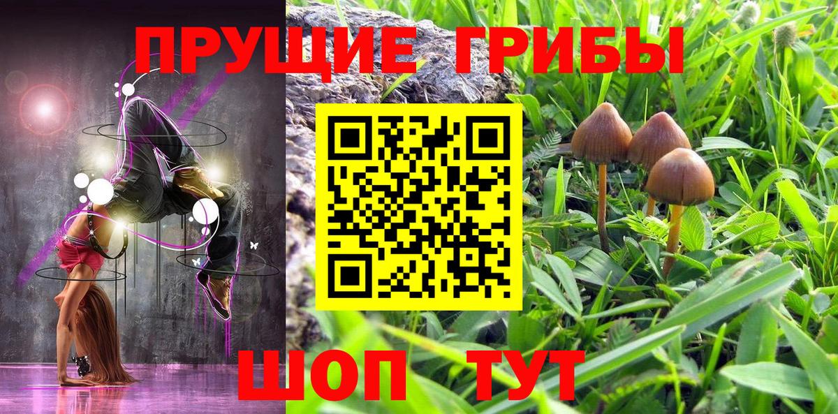 Псилоцибиновые грибы MAGIC MUSHROOMS  Вход с VPN  Всеволожск 
