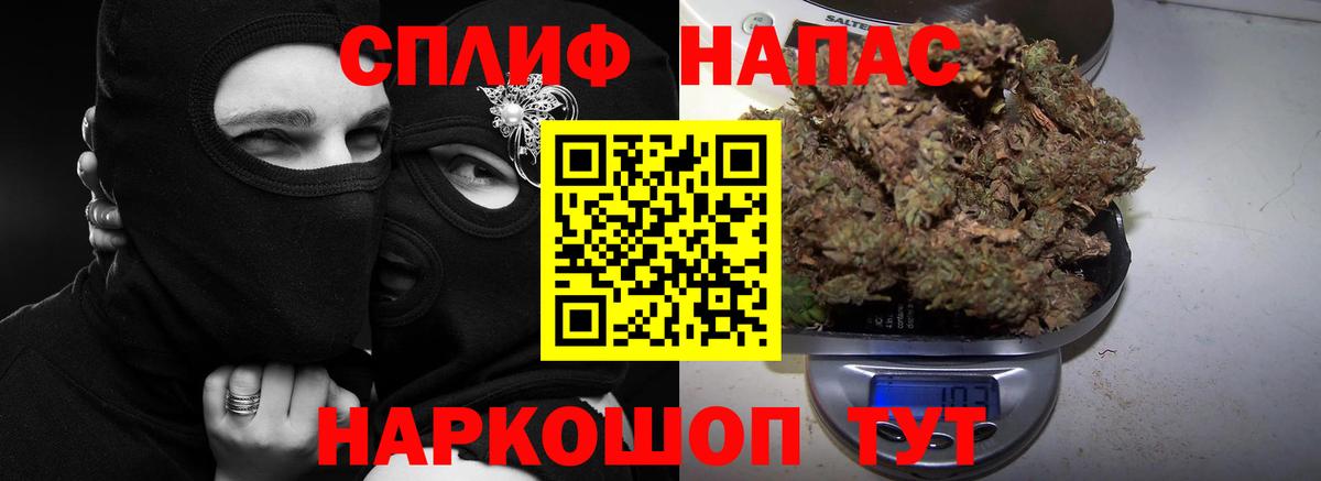 Конопля сатива Всеволожск